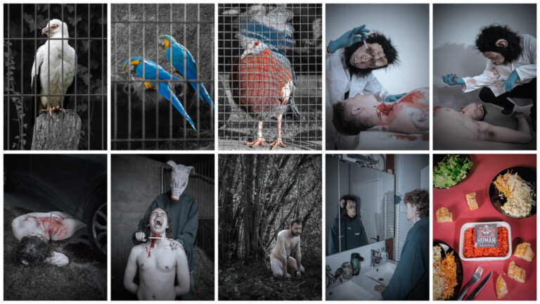 « FR35ABC 501215 » – Thibault BRUNNER